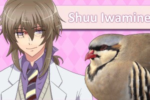 Hatoful Boyfriend Screenshot