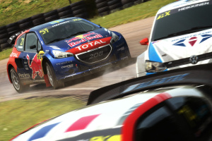 DiRT Rally Screenshot