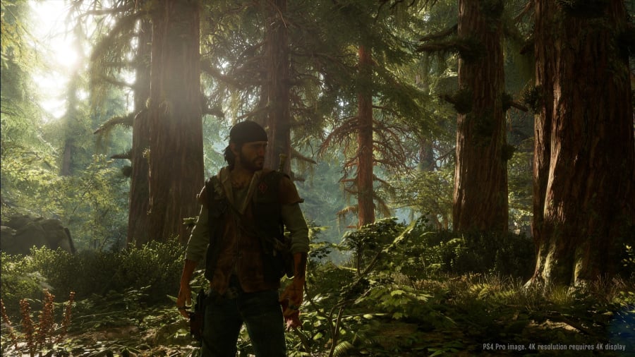 Days Gone Screenshot (2 of 7)