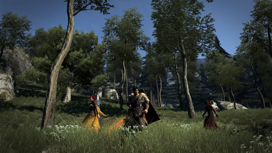 Dragon's Dogma: Dark Arisen Review - Screenshot 3 of 3