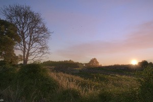 Kingdom Come: Deliverance Screenshot