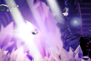 Hollow Knight: Voidheart Edition Screenshot