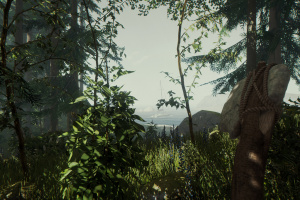 The Forest Screenshot
