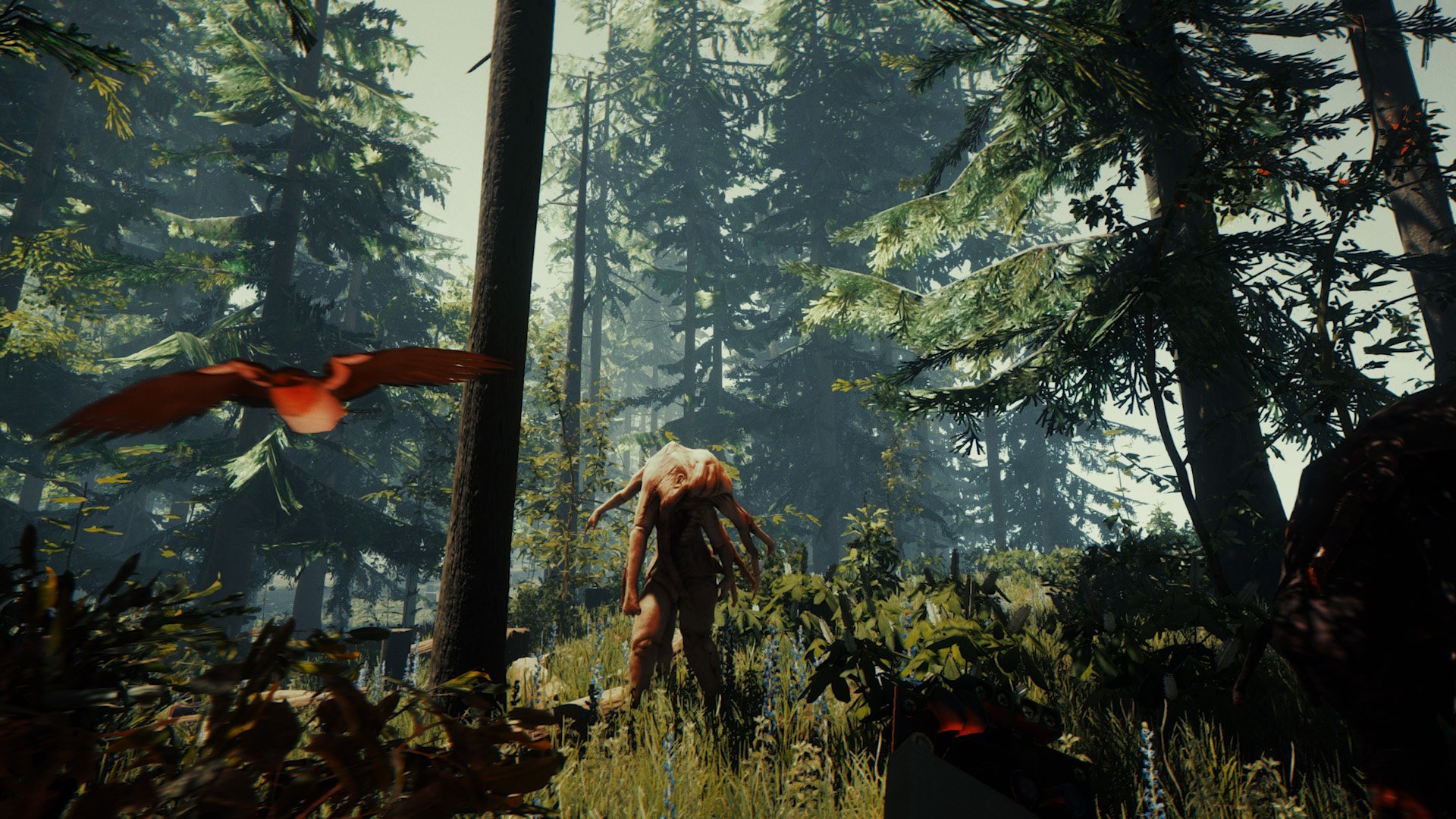 the forest pc game