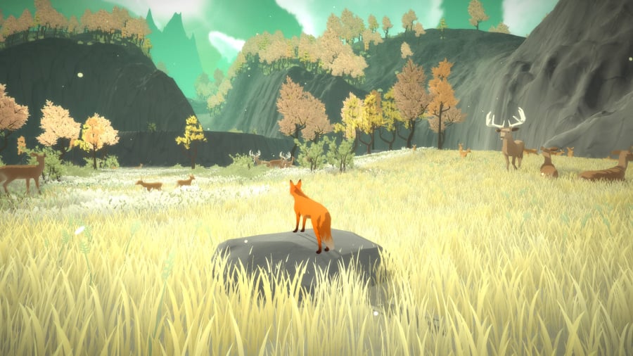 The First Tree Review - Screenshot 2 of 2