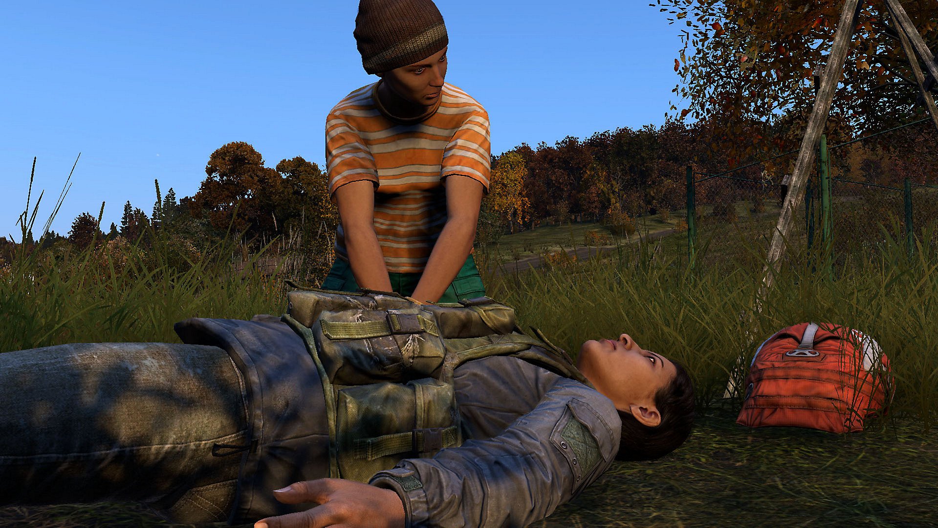 DAYZ PS4/PS5 Survival