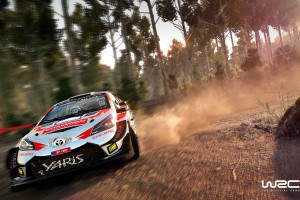 WRC 8 Screenshot
