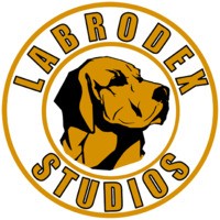 LabrodexStudios