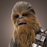 TheAngryWookiee