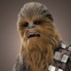 TheAngryWookiee