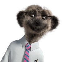 SergeiMeerkat